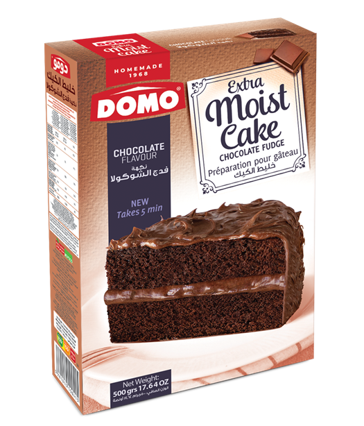 Chocolate Fudge Flavor   <br> 500g